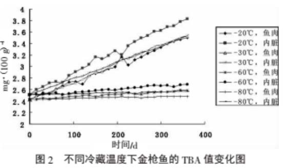 金槍魚(yú)低溫冰箱