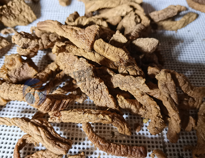 牛肉凍干，食品真空冷凍干燥機(jī)應(yīng)用于肉類凍干